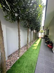 Bedok Pesari (D16), Semi-Detached #495664561